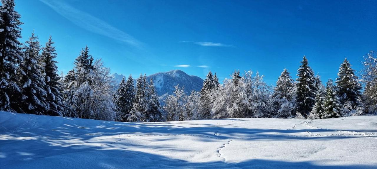 Apartma Ursic Kranjska Gora Exterior foto